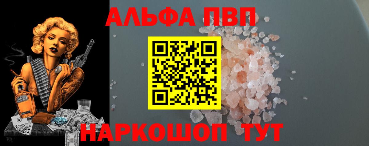 A PVP СК КРИС Волхов